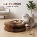 Magic Organ Board Interactive Cat Toy