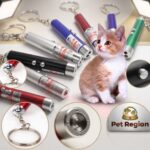 LED Laser Cat Toy Keychain